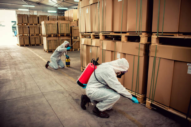 Best Mosquito Control Services  in Belle Chasse, LA