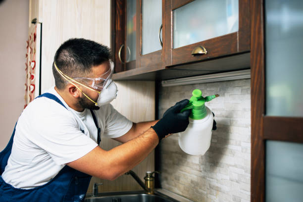 Best Exterminator Services  in Belle Chasse, LA