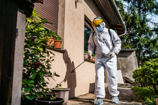 Best Rodent Control Near Me  in Belle Chasse, LA