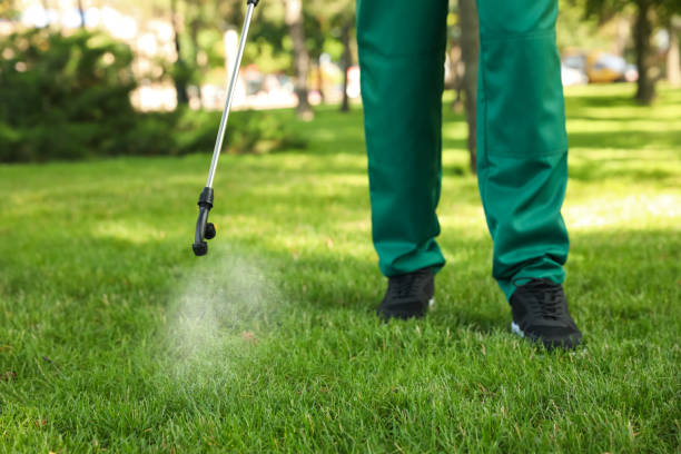 Reliable Belle Chasse, LA Pest Control Solutions