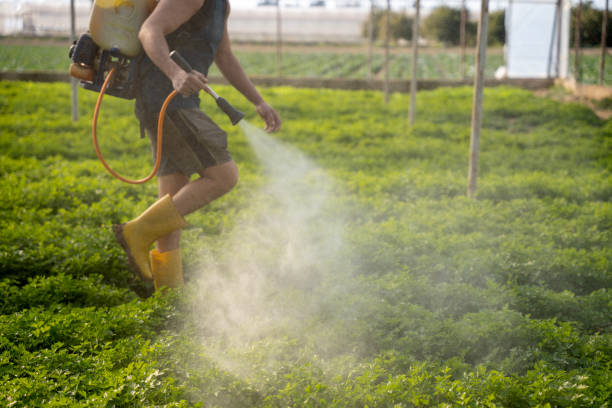 Pest Control Cost in Belle Chasse, LA