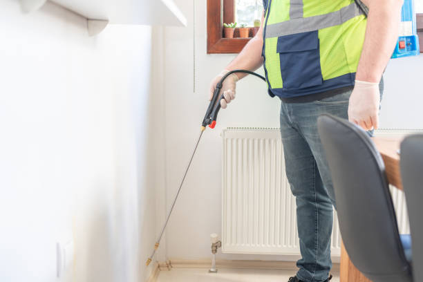 Best Best Pest Control Companies  in Belle Chasse, LA
